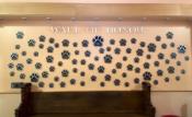 Humane Society Paw Wall